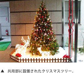 共用部に設置されたクリスマスツリー。