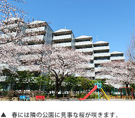 春には隣の公園に見事な桜が咲きます。