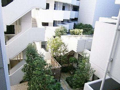 建物は吹き抜け構造になっており、上から見下ろすと中庭には緑が