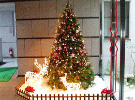 共用部に設置されたクリスマスツリー。